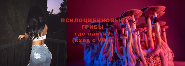 дмт Балахна